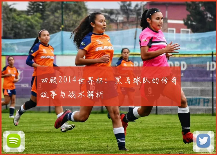 回顾2014世界杯：黑马球队的传奇故事与战术解析
