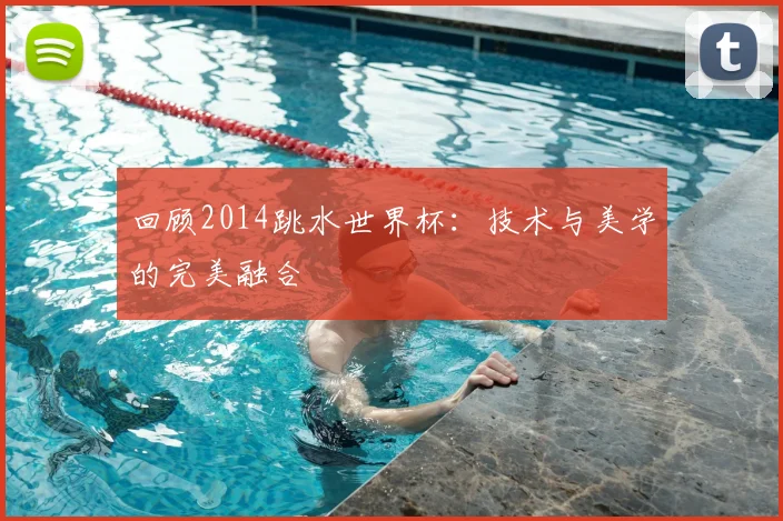 回顾2014跳水世界杯:技术与美学的完美融合