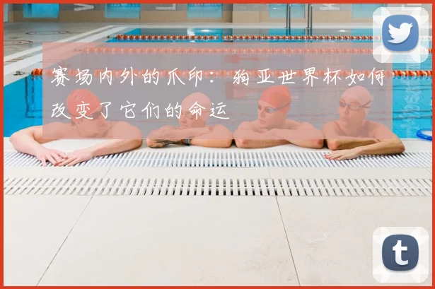 赛场内外的爪印：狗亚世界杯如何改变了它们的命运