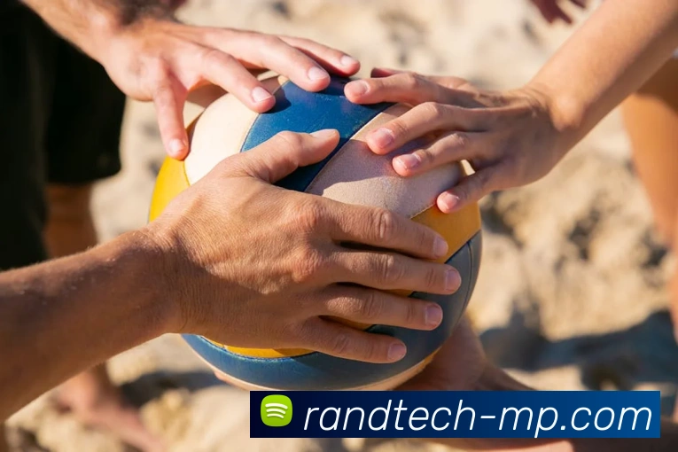 milan米兰官网APP 封面图